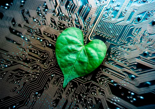 im电竞官网入口平台案例